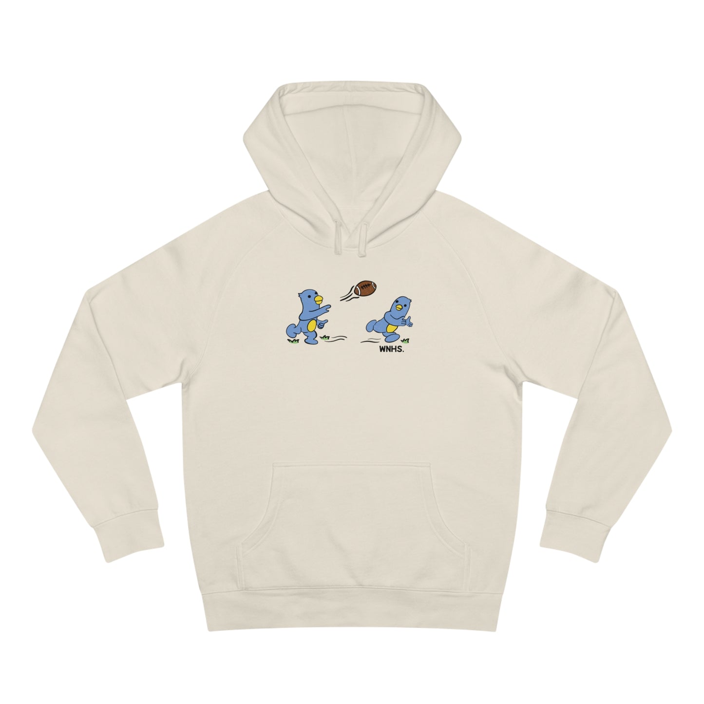 TOUCHDOWN FALCON HOODIE